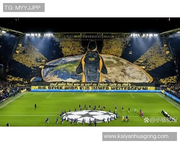 足球之星：从场上风采到球场背后的传奇人生